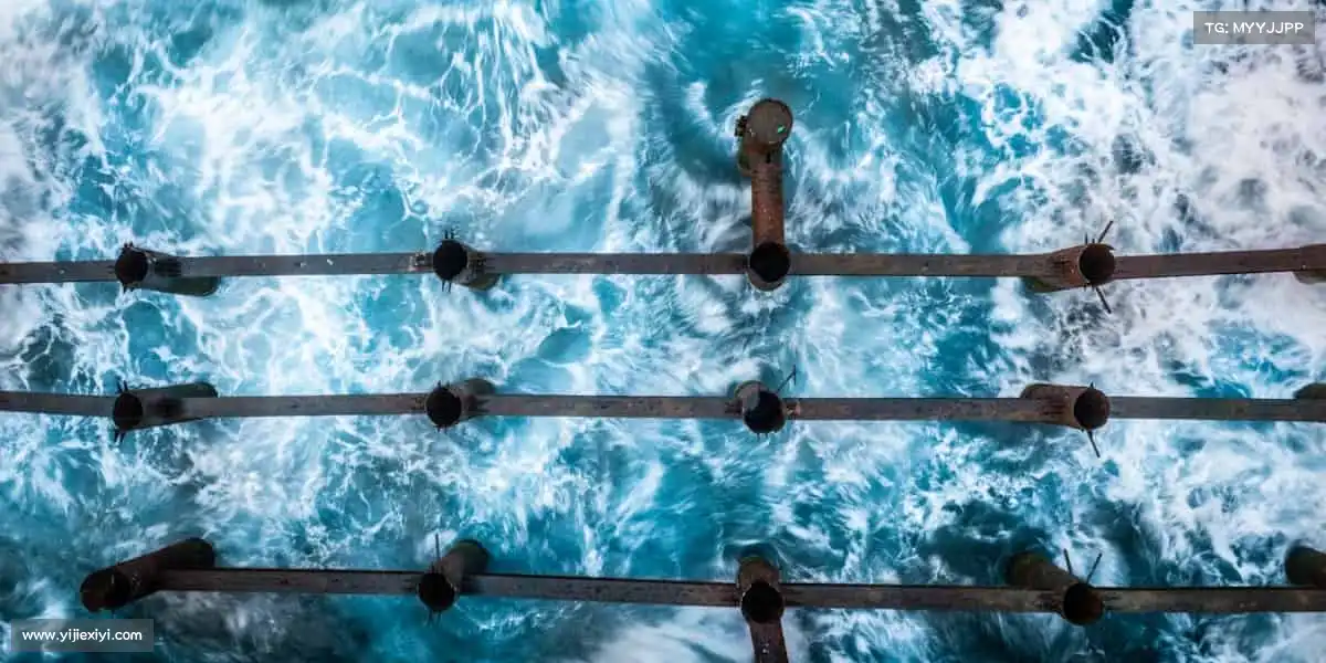 米兰官网体育是信仰，汗水是勋章，拼搏就是答案！🏅